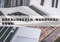 软件开发公司排名怎么样（有名的软件开发公司有哪些）