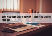 软件开发销售公司名称大全（软件开发公司如何销售）