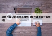 软件开发公司靠什么赚钱（软件开发靠什么挣钱）