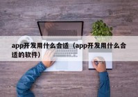 app开发用什么合适（app开发用什么合适的软件）