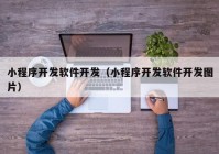 小程序开发软件开发（小程序开发软件开发图片）