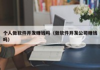 个人做软件开发赚钱吗（做软件开发公司赚钱吗）