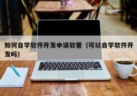 如何自学软件开发申请软著（可以自学软件开发吗）