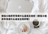 微信小程序开发用什么语言比较好（微信小程序开发用什么语言比较好呢）