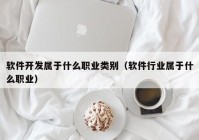 软件开发属于什么职业类别（软件行业属于什么职业）